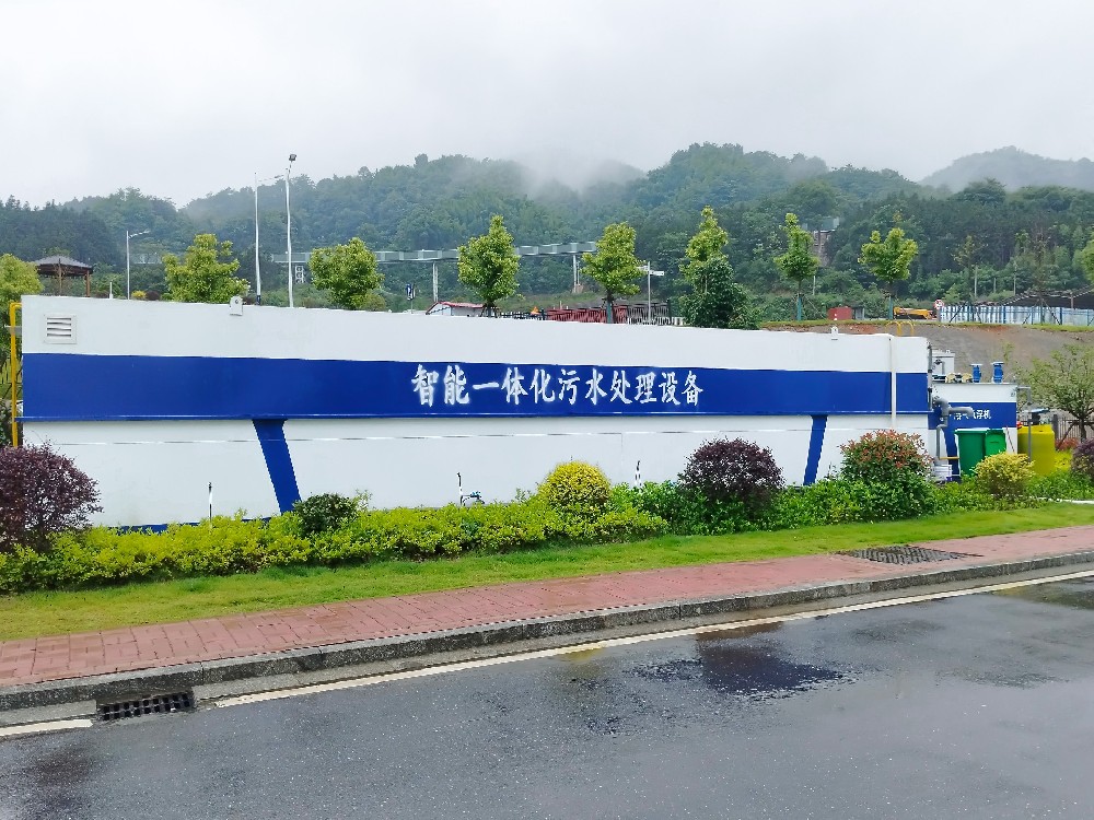 次氯酸钠发生器，电解次氯酸钠发生器，水消毒设备